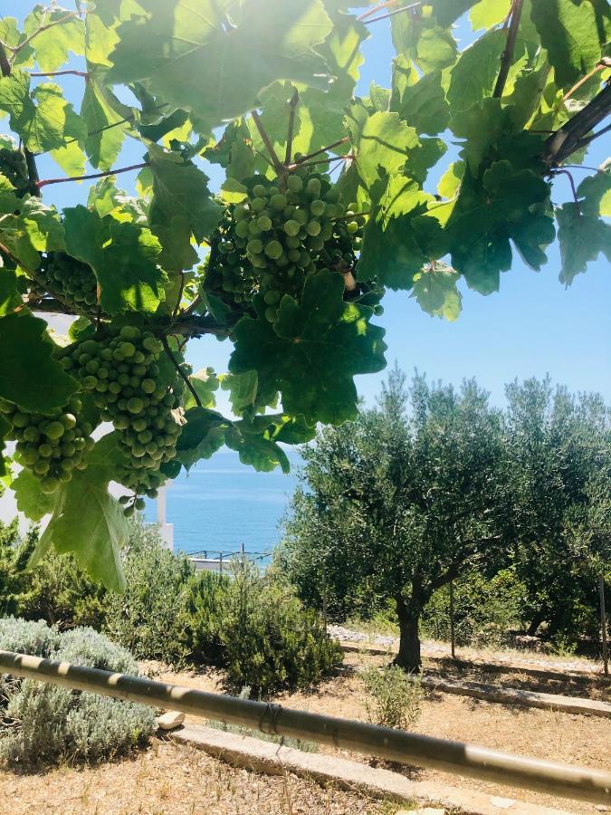 Villa Dani Sea & Pool Apartments Trogir Luaran gambar