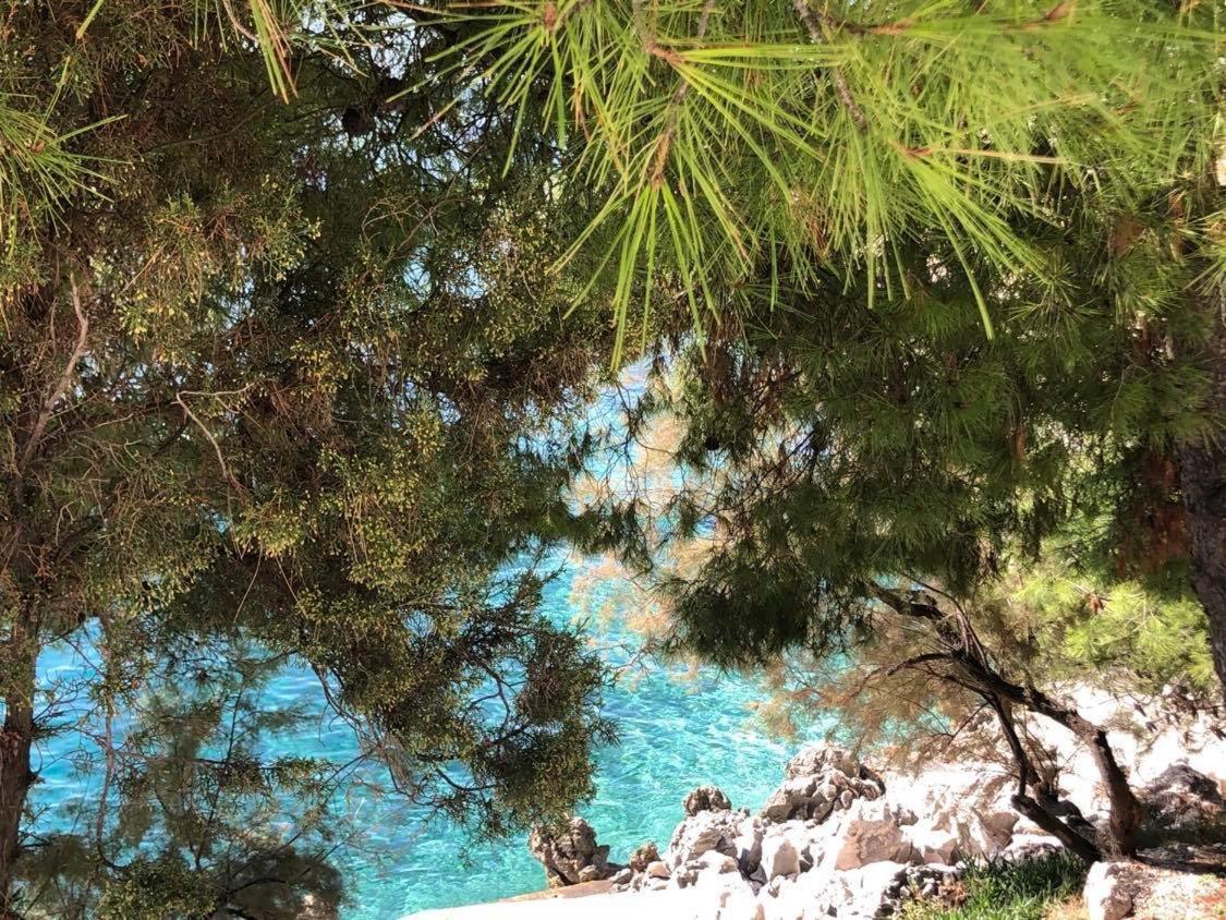 Villa Dani Sea & Pool Apartments Trogir Luaran gambar